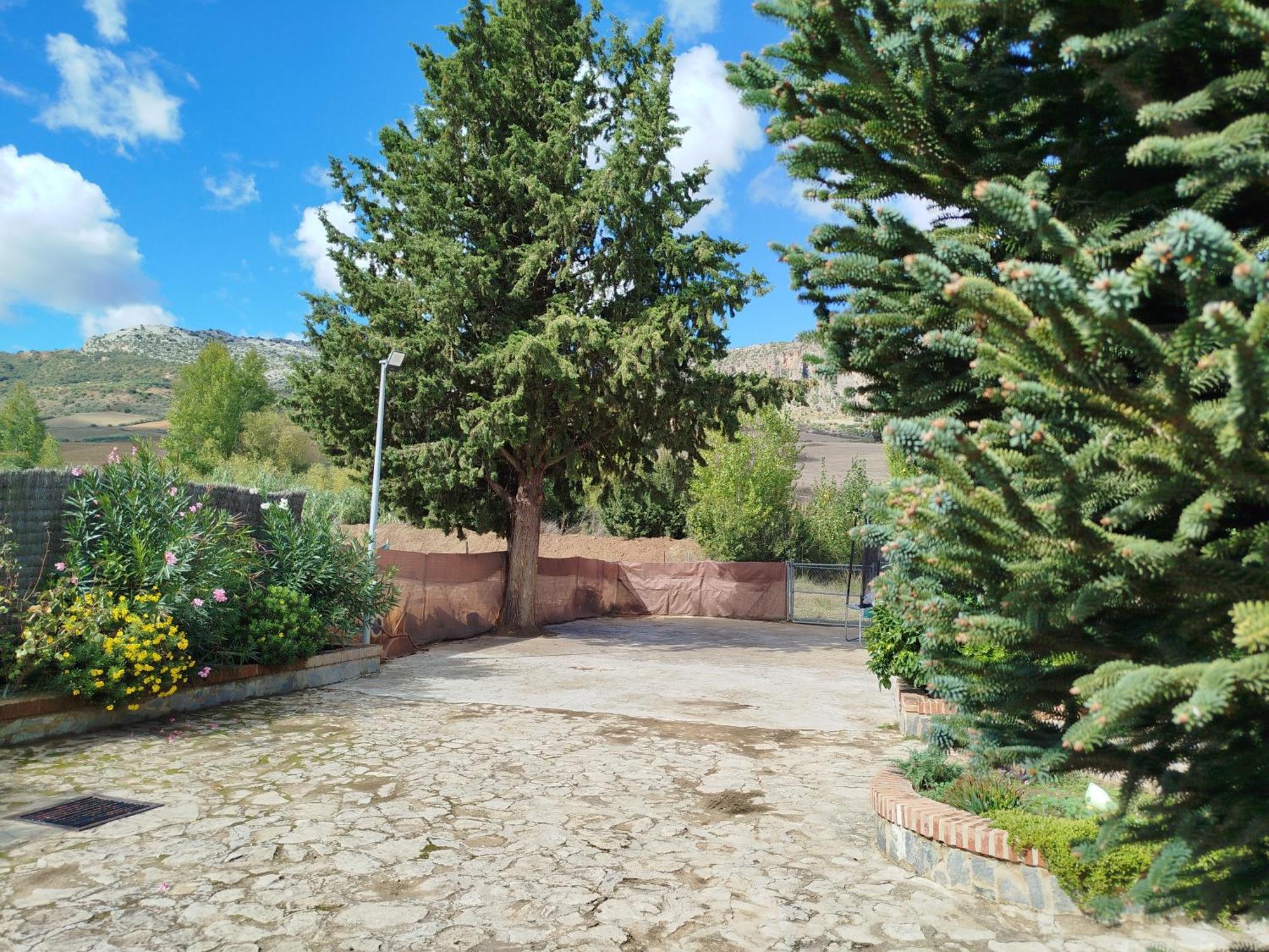 Casa Rural La Maestra Ronda Zewnętrze zdjęcie